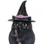 Salem