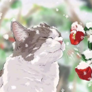 欧玛·基利曼·波