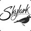 Skylark