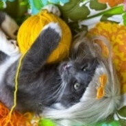 󠀡󠀡󠀡󠀡󠀡󠀡