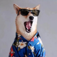 猛踹瘸子那条好腿