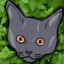 Catnip