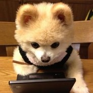 我乃蚌埠一疯子