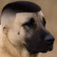 гоша