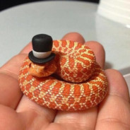 Tophat Snek