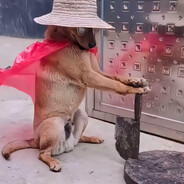 沃德吉尔·英邦邦