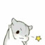 CNHope陈怀安