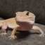 malyaro