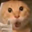 AAA