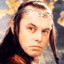 Elrond Musk