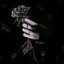 blackrose