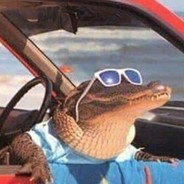 Pimp Gator