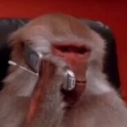 Артем 165cm/158kg