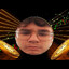 StelYo