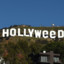 迪瑪 Hollyweed