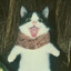 Brocat MEOW MEOW