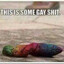 gEY sH!T