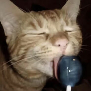 我拦铜守银差点摄金