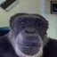 dkc