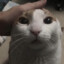 peku
