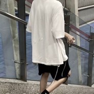 拳打脚踢马保国