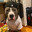 Jax