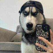 爱吃火锅的老哥