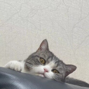 阿兹卡班突破手方原