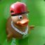 Swagger_Duck_2000