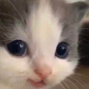 HighPriorityPlebeianPeasant