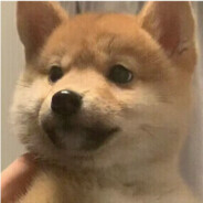 实木狗蜂 需要加强