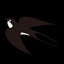 Swallow