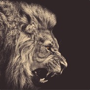 Alekss