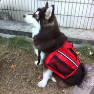 一奶一个小朋友