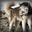 steppeNwolf