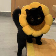 超麦肯炸鸡薯条