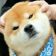 你们师徒三人面对我们师徒三人