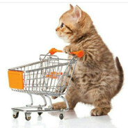 黑鬼ShyGirl犹太人