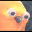 POOTIS BIRB