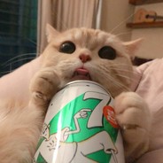 看我名字做咩呀