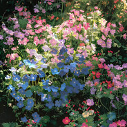 我与春风皆过客