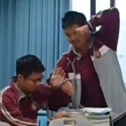 翻斗花园树德拳击手