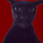 Evil Larry