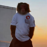 vnturebivwiy avatar