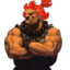 LA CHELE DE AKUMA