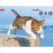 飞天猫