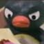 Pingu