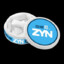 Cool Mint Zyn Pouch