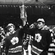 добрый день