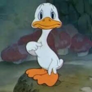SrecnoPace avatar